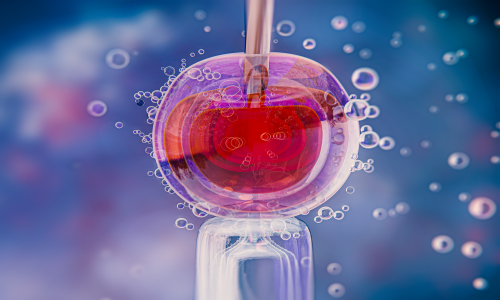 Egg Freezing